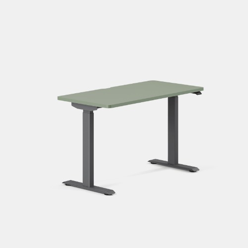 Duo Standing Desk - Sage / Charcoal / 48 inches x 24 inches