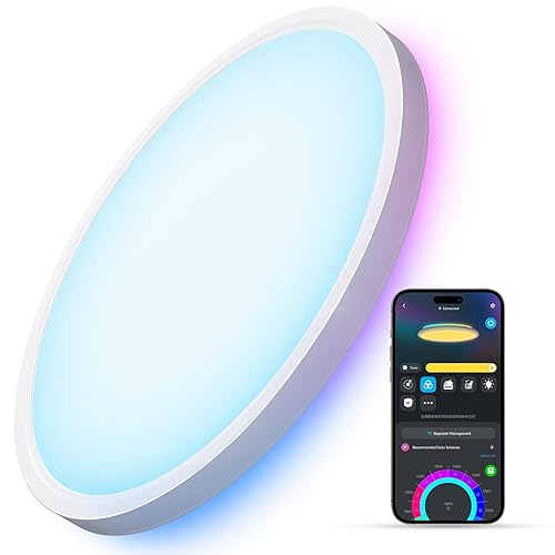 Govee Smart Ceiling Light, RGBIC LED Ceiling Light Fixture, 2400LM Flush Mount Light Fixture, DIY Colors, Works with Alexa, 2200K-6500K Ceiling Lights for Bedroom, Living Room, 12 Inch, 1 Pack - 12 inch - 1 pack