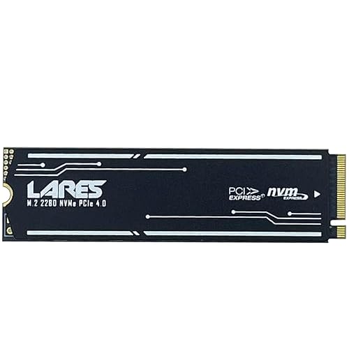 LEVEN JPS800 4TB PCIe Gen4 Speed up to 5,000MB/s 3D NAND NVMe M.2 SSD with Thermal Pad and Heat Sink - 4TB - PCIe 4.0 5000Mbs