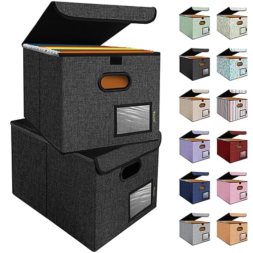 BALEINE File Organizer Box with Lid, Collapsible File Folder Organizer with Plastic Slide, Hanging File Folder Box for Office Document Storage (2 Pack, Black) - 2 Pack - Black