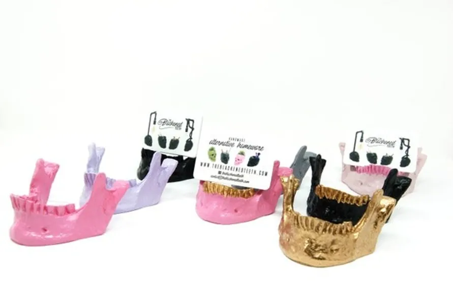 Gothic Jaw Business Card Holder  Human Jaw Replica  Goth | Etsy