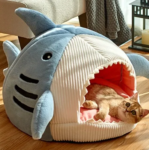 Cat bed but it's a shark