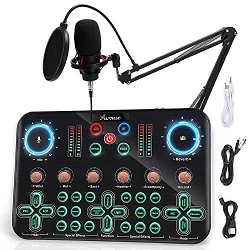 Asmuse Microphone à Condensateur K20 Supérieur Microphone Carte Son Live, Support de Micro Streaming réglable et Support antichocs en métal et Filtre Anti-Pop pour Enregistrement/Diffusion/Streaming - 03-Haut de gamme