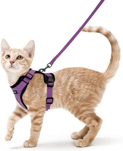 Cat Harness
