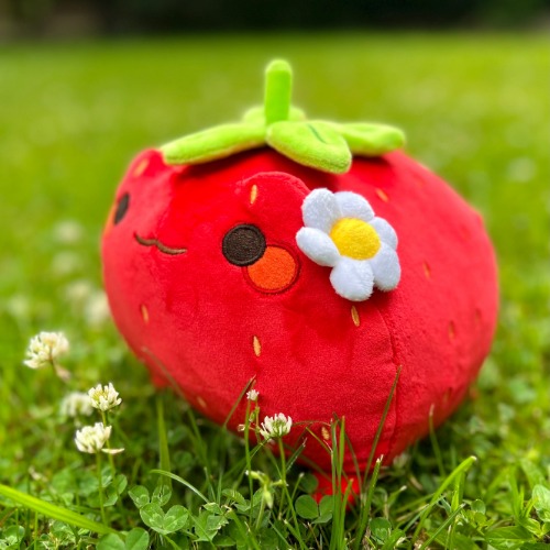 Barry the Strawberry Frog Plush Pre-Order (October Delivery)
