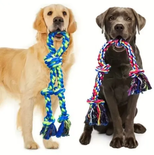 Corda para cachorros