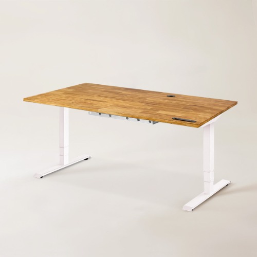 Terra Standing Desk - Terra - White / L (70" x 29")