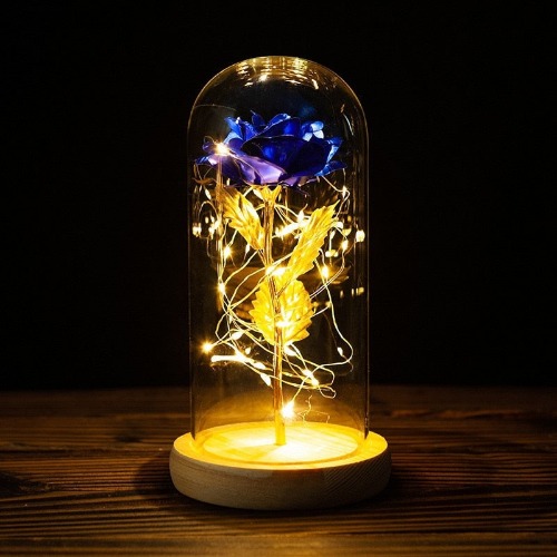 Immortal Rose Light - C-2