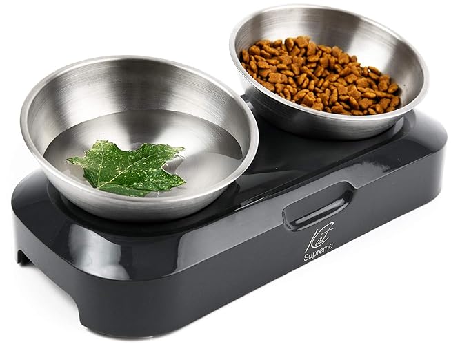 Cat Food Bowl by KATSUPREME Set of 2 Stainless Steel Tilted Cat Food Bowls with Non-Slip Base