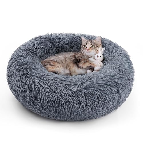 rabbitgoo Cat Beds for Indoor Cats