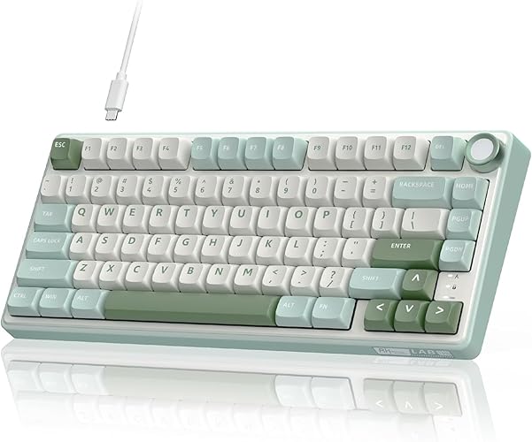 RK ROYAL KLUDGE R75 Mechanical Keyboard Wired with Volumn Knob, 75% TKL Custom Gaming Keyboard Gasket Mount RGB Backlit with Software, MDA Profile, Hot Swappable Silver Switch, PBT Keycaps (US Layout) - Hot Swap Sliver Switch - Green