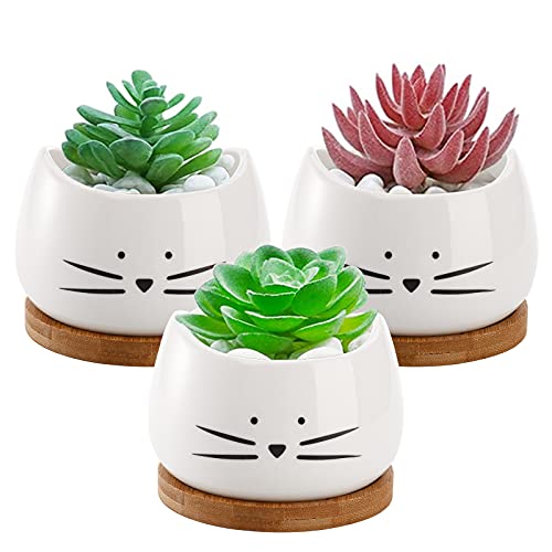 Dicunoy Set of 3 Mini Succulent Pots, 3 Inch Small Ceramic Cat Plant Container with Drainage Hole and Saucer Tray for Cactus, Decoration for Window Sill, Ideal Gift