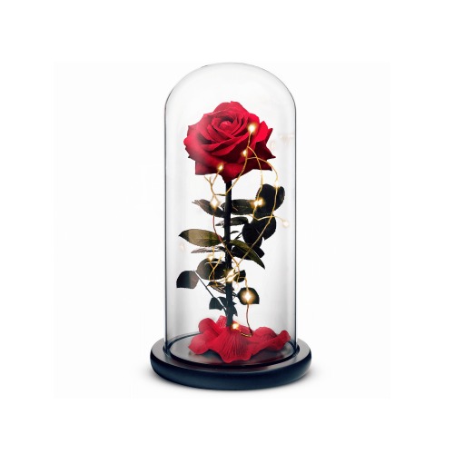 Beauty and The Beast Rose (Red) - Large
