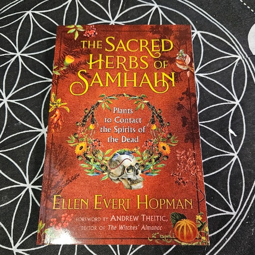 The Sacred Herbs of Samhain
