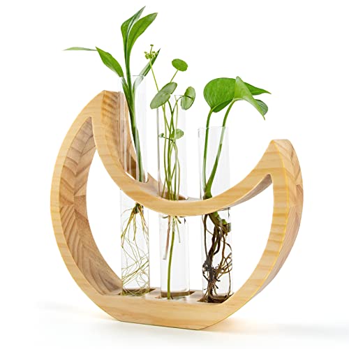 Ceiner Plant Propagation stations, Crescent Moon Table Terrarium Stand for Indoor houseplants, Wooden Wall Boho Hanging Planter Vase with Glass Test Tube for Office Decor Aesthetic, Gift for Women Mom