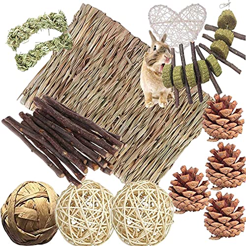 Bunny Hamsters Chew Toys Set, Straw Woven Bed Mat& Rabbit Pet Tooth Organic Natural Apple Wood Grass Cake Ideal for Chinchilla, Guinea Pigs, Syrian Rat,Birds,Teeth Grinding&Hámster Conejo(22Pieces) - 22Pieces