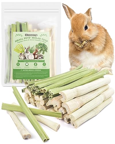 Bissap Rabbit Chew Sticks, 20PCS Sweet Bamboo Chew Sticks & 20PCS Papaya Stems Bunny Chews for Rabbit Hamster Chinchilla Guinea Pig Small Animals Natural Molar Treats