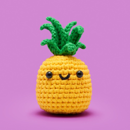 Pinya the Pineapple Crochet Kit | Default Title