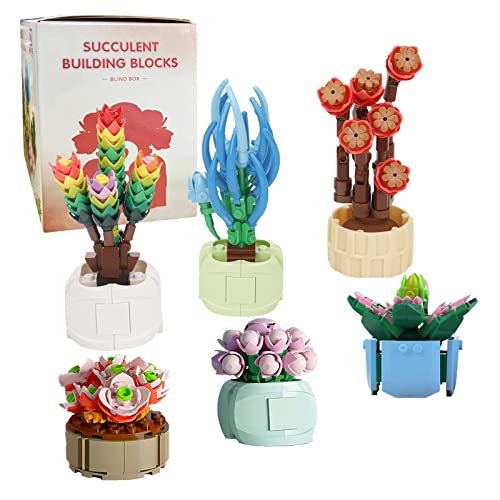 Succulents Mystery Bag Building Kit, Creative DIY Random Botanical Collection Building Toy, Set for Adults and Kids, Compatible with Lego (Build 1 Plant)