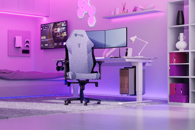 Secretlab TITAN Evo Purple