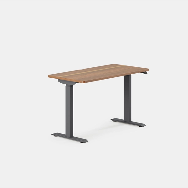 Duo Standing Desk - Walnut / Charcoal / 48 inches x 24 inches