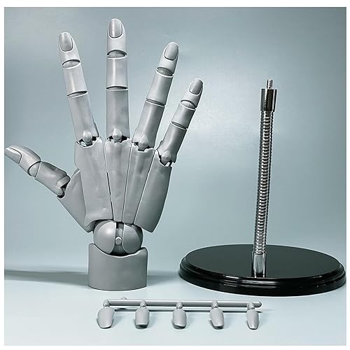 1:1 Flexibles Modell Für Die Rechte Hand