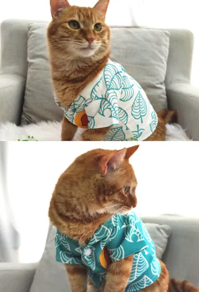 Animal Crossing Tom Nook Cat Costume