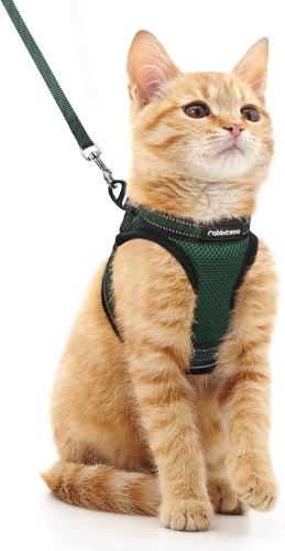 rabbitgoo Cat Harness and Leash Set for Walking Escape Proof, Adjustable Soft Kittens Vest with Reflective Strip for Cats, Comfortable Outdoor Vest ,Forest Green, M - Medium Forest Green