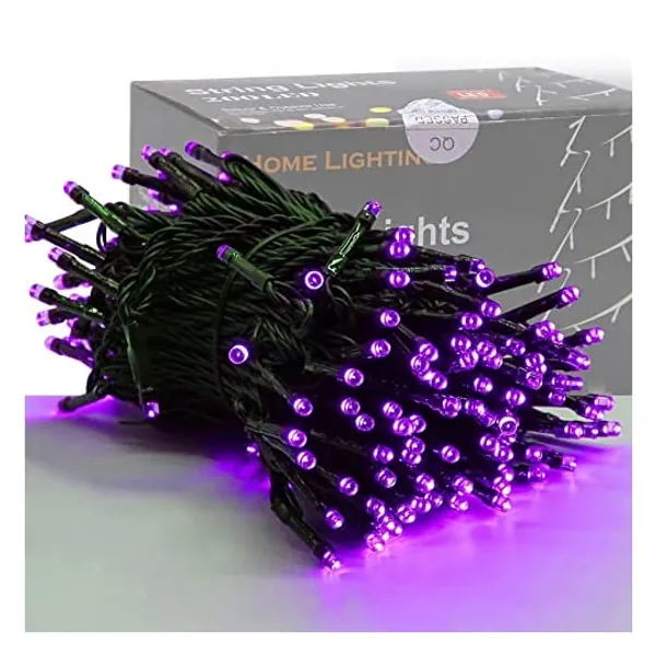 
                            HOME LIGHTING 66ft Christmas Decorative Mini Lights, 200 LED Green Wire Fairy Starry String Lights Plug in, 8 Lighting Modes, for Indoor Outdoor Xmas Tree Wedding Party Decoration (Purple)
                        