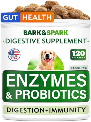 Dog Probiotics Chews - Gas, Diarrhea, Allergy, Constipation, Upset Stomach Relief, with Digestive Enzymes + Prebiotics - Chewable Fiber Supplement - Improve Digestion, Immunity - Made in USA - 120 Ct - Bacon - 120 Probiotics Chews