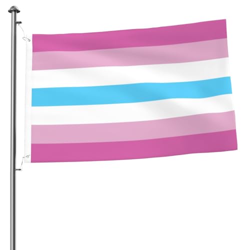 Femboy-Flagge, 60 x 90 cm, doppelseitig, langlebig, dekoratives Banner aus Polyester für den Außenbereich, Willkommensflagge für den Hof und den Rasen
