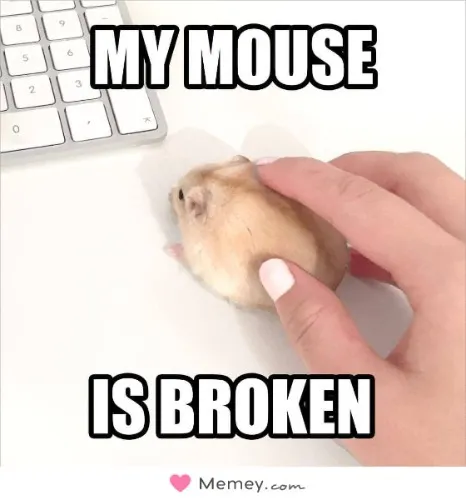 A New mouse 