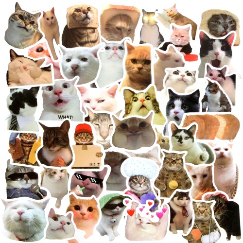 50 funny cat stickers