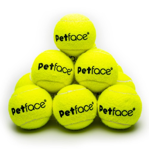 Tennis Balls (12 pack)
