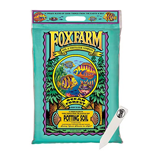 FoxFarm Ocean Forest Potting Soil Mix Indoor Outdoor for Garden and Plants | Plant Fertilizer | 12 Quarts | The Hydroponic City Stake - 1 Pack