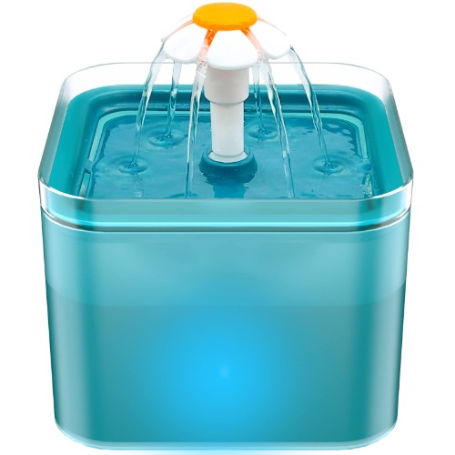 rabbit water fountain