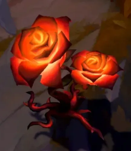 Podwójna Różyczka 