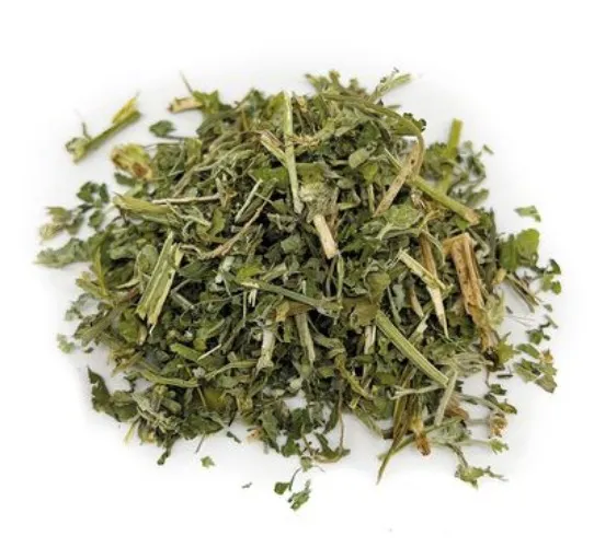 Kocimiętką =^._.^=