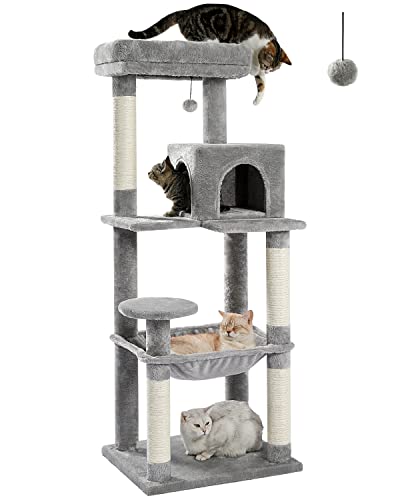 Cat Tree for Beau