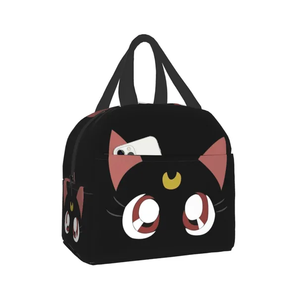 Insulated Lunch bags Tote Bag Reusable Bento Box for Men Women Office Picnic Travel Beach Fishing - 