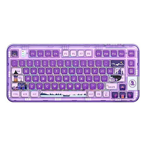 YUNZII Coolkiller CK75 Wireless Hot Swappable Mechanical Keyboard, Transparent Acrylic Gasket Mounted Keyboard for for Windows/Mac(Lilac Switch,Fairy Purple) - Lilac Switch - Fairy Purple