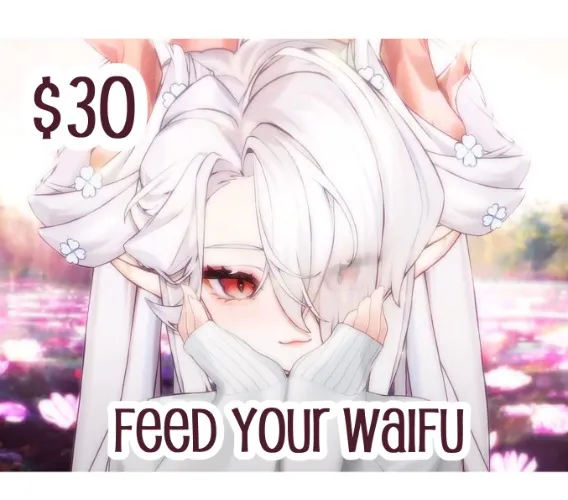 $30 to Feed your Waifu