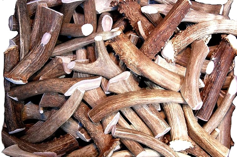 Premium Deer Antler Pieces - Dog Chews - Antlers by The Pound, One Pound - Six Inches or Longer - Medium, Large and XL - Happy Dog Guarantee! - Deer or Elk Antler - 4 Ounce (Pack of 4)