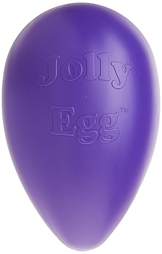 Jolly Pets Jolly Egg Dog Toy, 12 Inches/Large, Purple - Large (12 in) - Purple