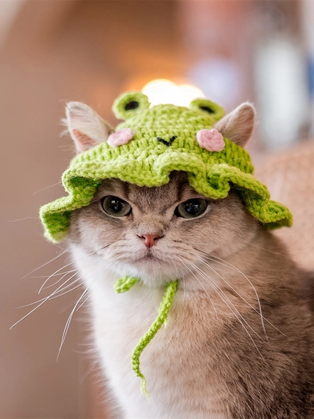 Froggy Hat