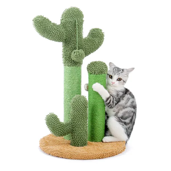 PAWZ Road Cat Scratching Post Cactus Cat Scratcher Featuring with 3 Scratching Poles and Interactive Dangling Ball - Medium-23"