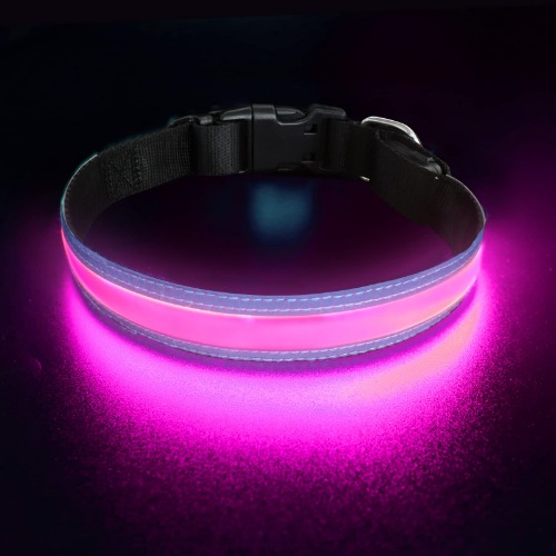 PetIsay Ultimate LED Dog Collar - USB Rechargeable & Water Resistant Purple