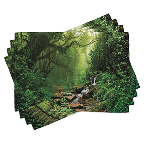 ABAKUHAUS Regenwald Platzmatten, Wald in Nepal Fußweg Wildlife Frühling Pflanzen und Steine Feuchtigkeit Wasser Print, Tiscjdeco aus Farbfesten Stoff für das Esszimmer und Küch, Grün braun