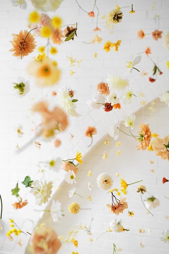 Post Creative Hanging Floral Kit - Flor.