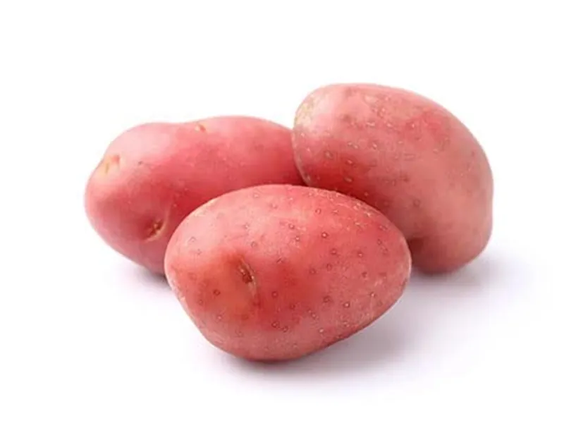 OrthoZahab Fresh Pakistani Potatoes (10 Metric Tonnes)
